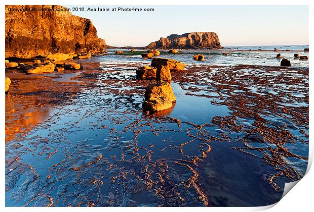  ROCKY SHORE Print by andrew saxton