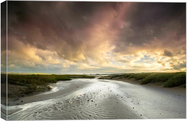 The River Taw at Crow Point  Canvas Print by Dave Wilkinson North Devon Ph