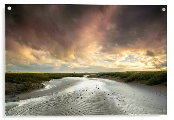 The River Taw at Crow Point  Acrylic by Dave Wilkinson North Devon Ph