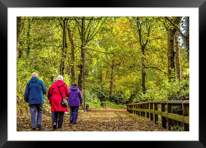  Jesmond Dene Walk Framed Mounted Print by Ryhan Hussain