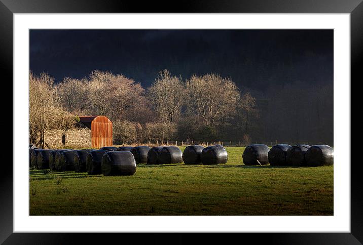  Black hay bales Framed Mounted Print by Leighton Collins