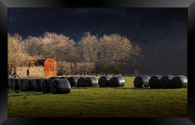  Black hay bales Framed Print by Leighton Collins