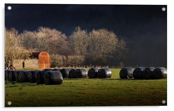  Black hay bales Acrylic by Leighton Collins