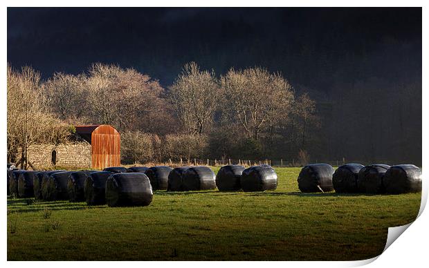  Black hay bales Print by Leighton Collins