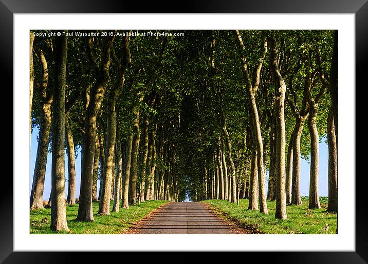 French Tree Lined Country Lane Framed Mounted Print by Paul Warburton