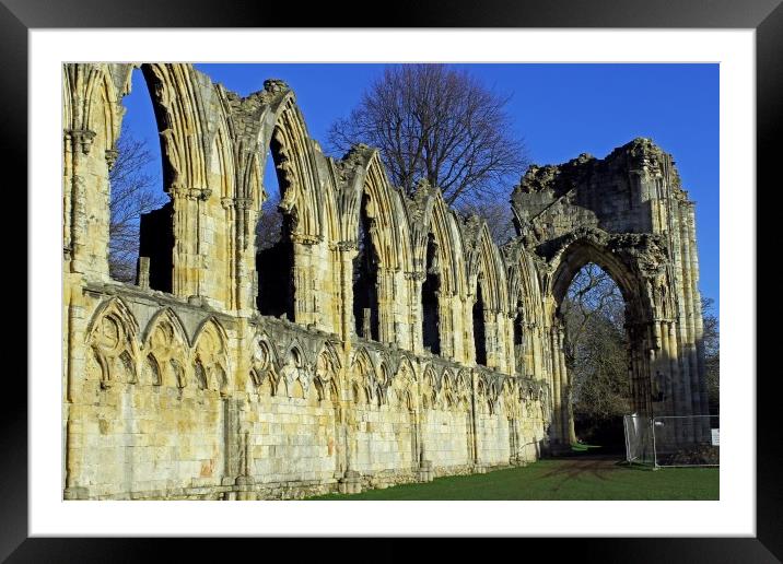 St Mary's Abbey  Framed Mounted Print by Tony Murtagh