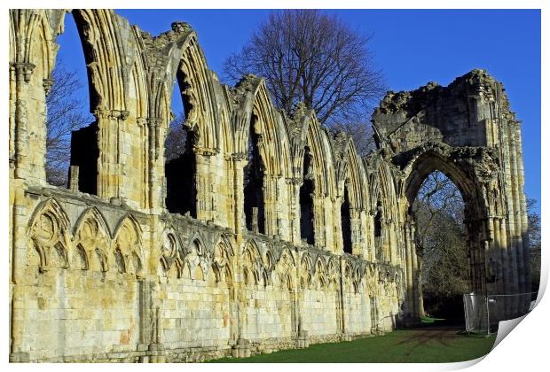 St Mary's Abbey  Print by Tony Murtagh