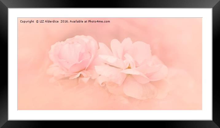 Pastel Pink Roses Framed Mounted Print by LIZ Alderdice