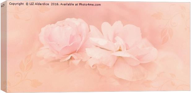 Dreamy Pink Roses Canvas Print by LIZ Alderdice
