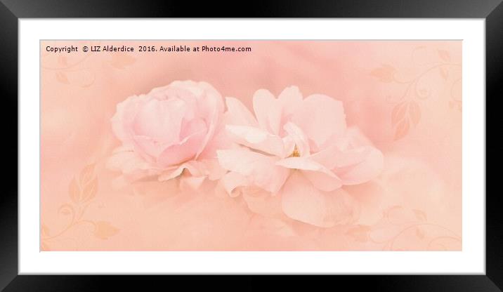 Dreamy Pink Roses Framed Mounted Print by LIZ Alderdice