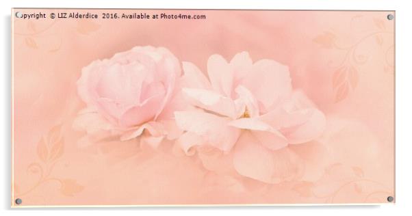 Dreamy Pink Roses Acrylic by LIZ Alderdice