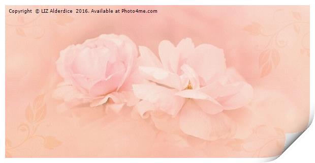 Dreamy Pink Roses Print by LIZ Alderdice
