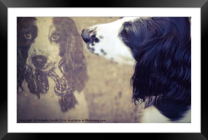 Spaniel Dog Loves Toys Framed Mounted Print by Michelle Smith