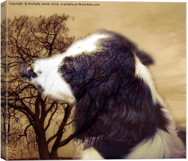 A Dogs Life reflection of a Spaniel Canvas Print by Michelle Smith