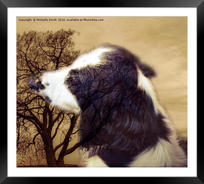 A Dogs Life reflection of a Spaniel Framed Mounted Print by Michelle Smith