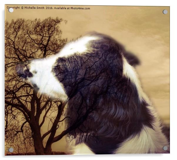 A Dogs Life reflection of a Spaniel Acrylic by Michelle Smith