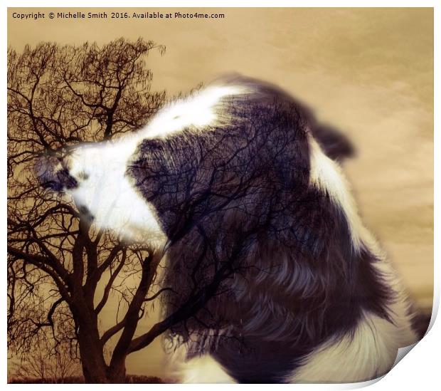 A Dogs Life reflection of a Spaniel Print by Michelle Smith