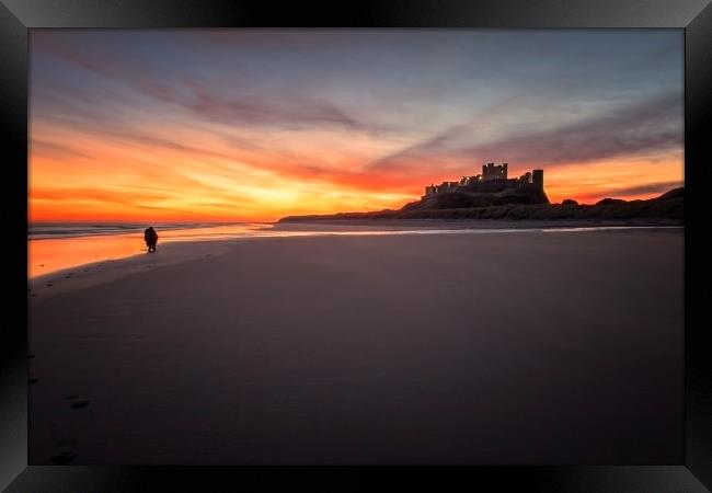Bamburgh Castle Sunrise - The Lone Photographer Framed Print by Northeast Images
