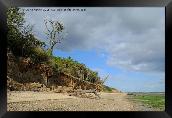 East Mersea Beach Framed Print by Diana Mower