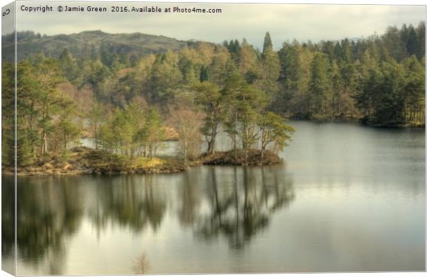 Tarn Hows Canvas Print by Jamie Green