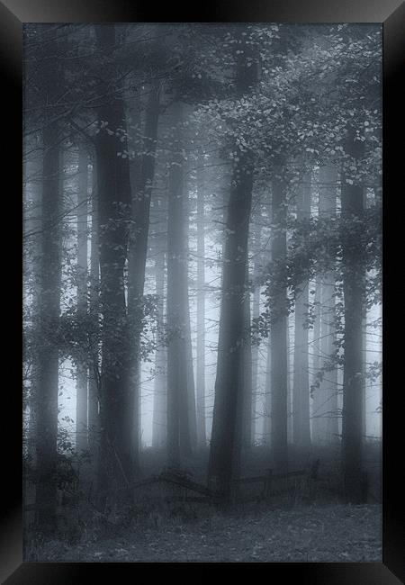 Autumn Mists Framed Print by Ann Garrett