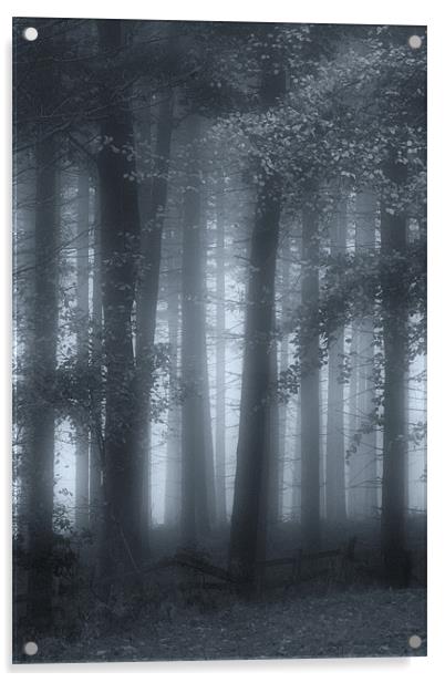 Autumn Mists Acrylic by Ann Garrett