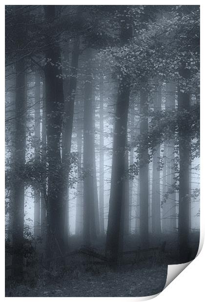 Autumn Mists Print by Ann Garrett