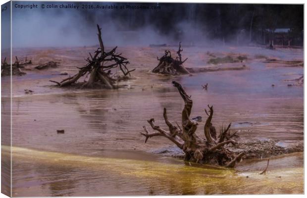 Ethereal Landscape in Yellowstone Park Canvas Print by colin chalkley