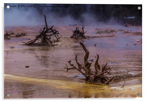Ethereal Landscape in Yellowstone Park Acrylic by colin chalkley
