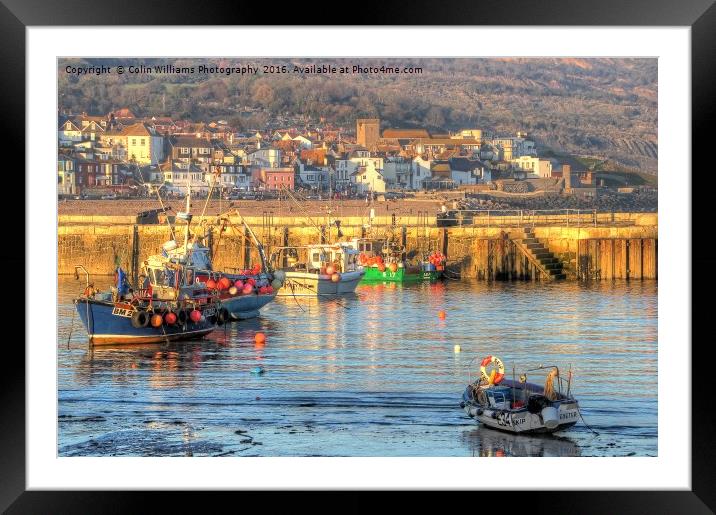Lyme Regis Harbour  Framed Mounted Print by Colin Williams Photography