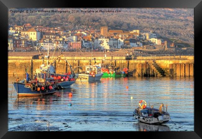 Lyme Regis Harbour  Framed Print by Colin Williams Photography