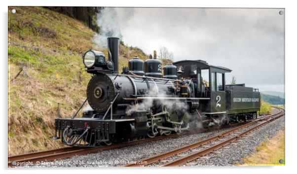 The Brecon Mountain Railway Acrylic by Steve Liptrot