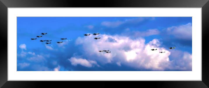 The Last of the few Framed Mounted Print by Stephen Ward