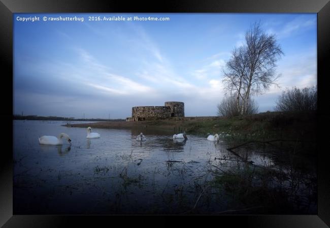 Castle At Chasewater Framed Print by rawshutterbug 