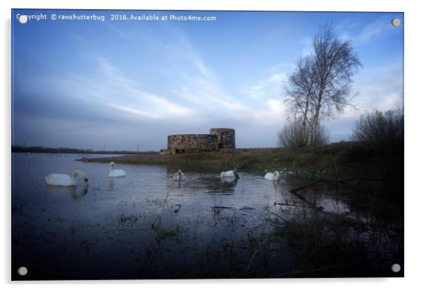 Castle At Chasewater Acrylic by rawshutterbug 