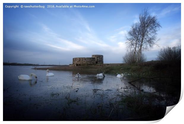 Castle At Chasewater Print by rawshutterbug 