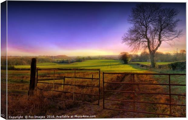 morning meadows sunrise Canvas Print by Derrick Fox Lomax
