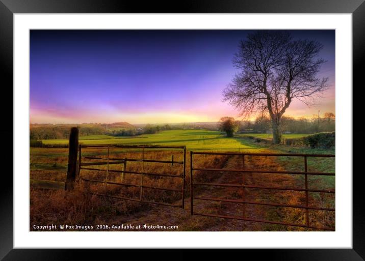 morning meadows sunrise Framed Mounted Print by Derrick Fox Lomax