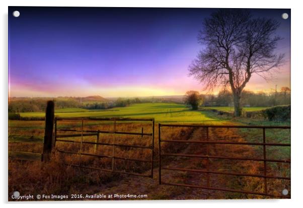 morning meadows sunrise Acrylic by Derrick Fox Lomax