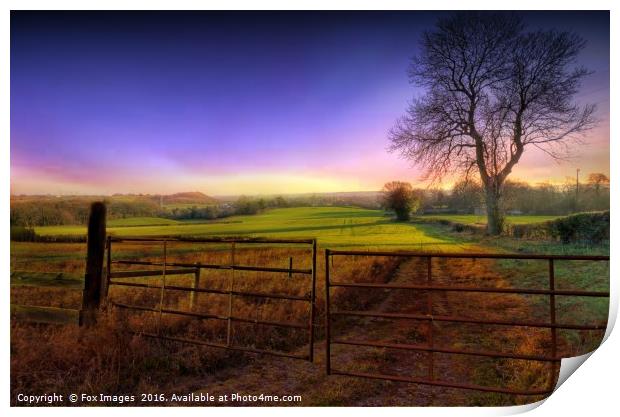 morning meadows sunrise Print by Derrick Fox Lomax