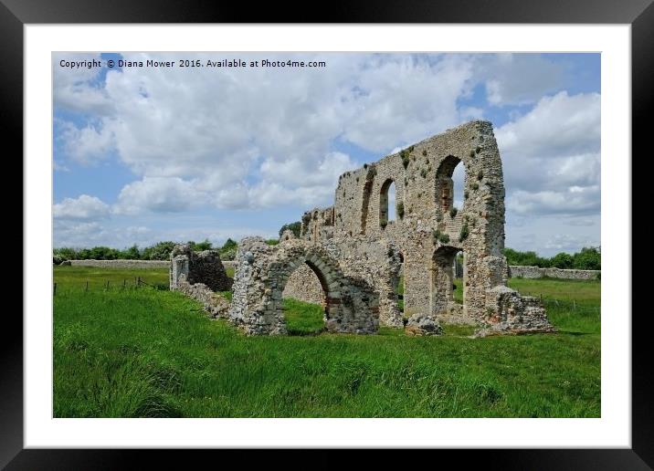 Greyfriars Priory Framed Mounted Print by Diana Mower