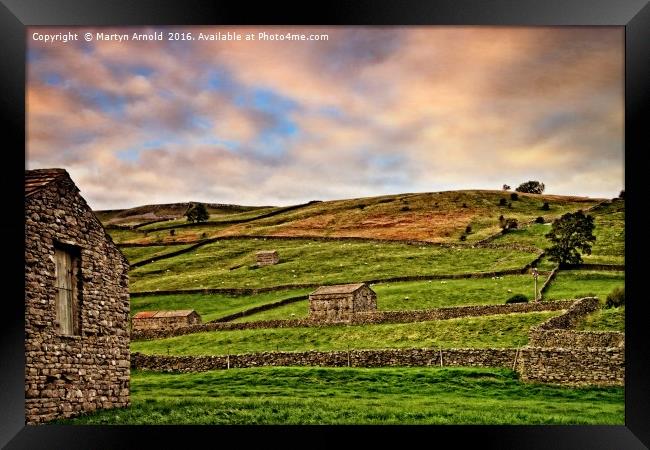 Swaledale Stone Barns and Walls Framed Print by Martyn Arnold