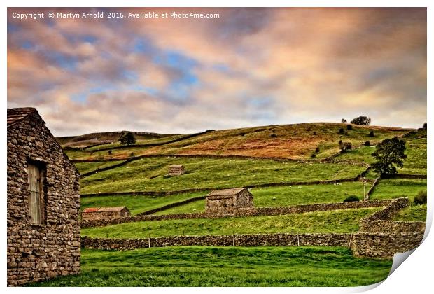 Swaledale Stone Barns and Walls Print by Martyn Arnold