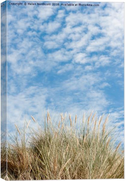 Blue Sky and Marran Grass ii Canvas Print by Helen Northcott