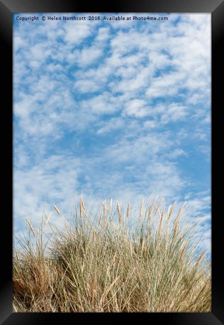Blue Sky and Marran Grass ii Framed Print by Helen Northcott