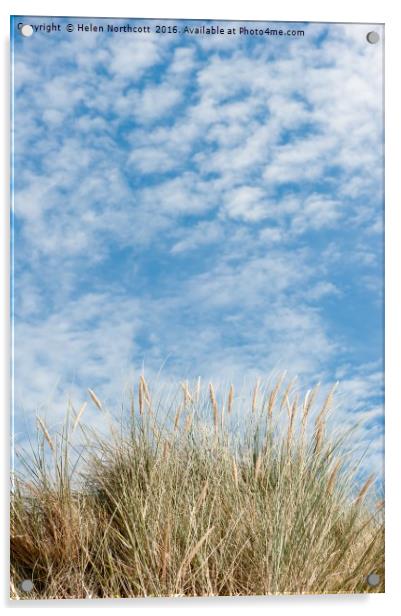 Blue Sky and Marran Grass ii Acrylic by Helen Northcott