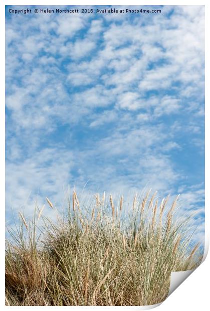 Blue Sky and Marran Grass ii Print by Helen Northcott