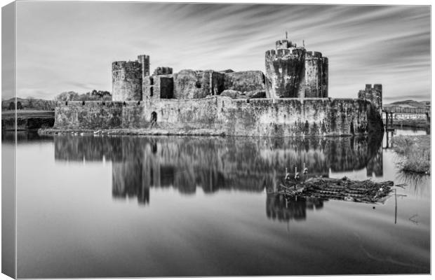 Caerphilly Castle Long Exposure 1 Mono Canvas Print by Steve Purnell