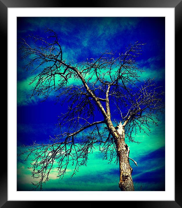 Hippy Sky Framed Mounted Print by Alexia Miles