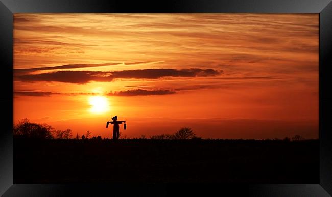 Scarecrow Sunset Framed Print by Ian Merton